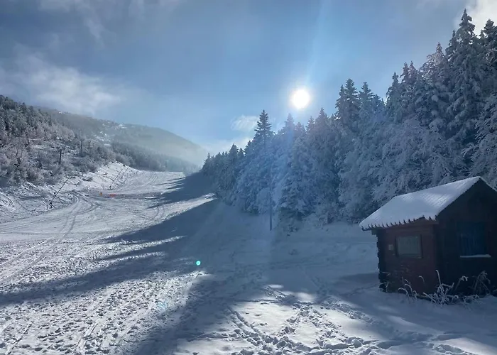 Studio Pied Des Pistes